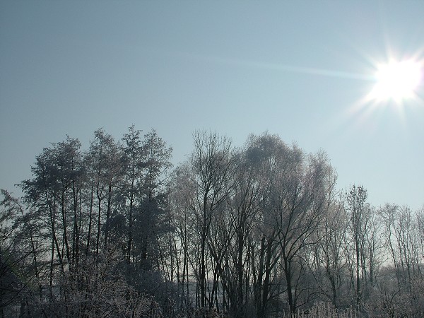 Litobratice - zima, leden 2006