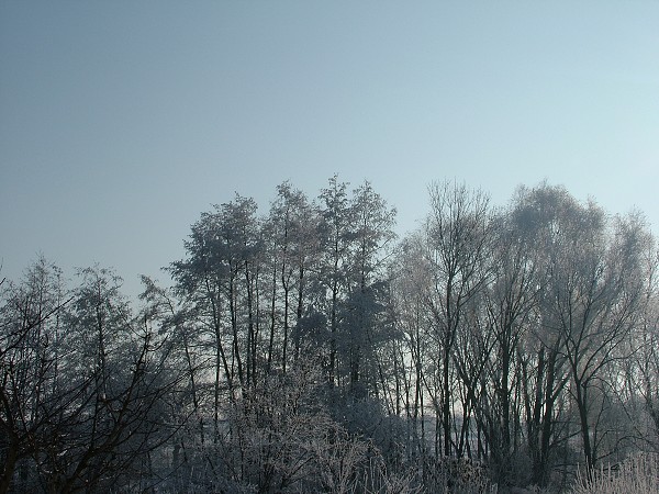 Litobratice - zima, leden 2006