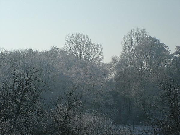 Litobratice - zima, leden 2006