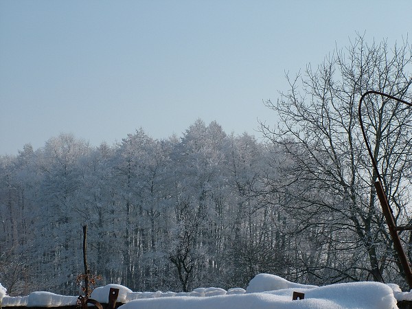 Litobratice - zima, leden 2006