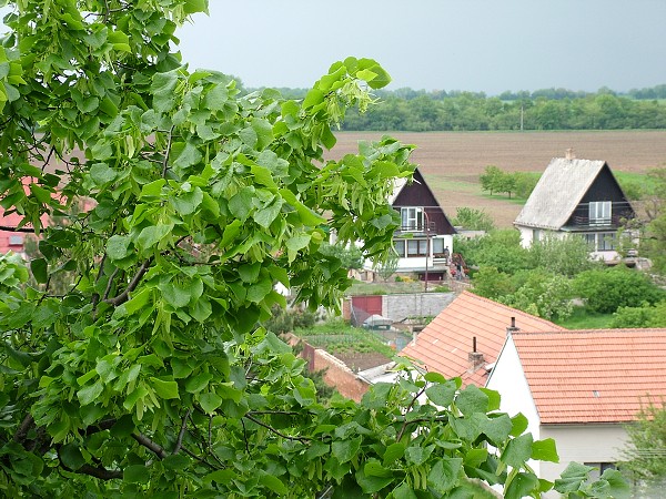 Litobratice z ve kostela - 14.5.2006