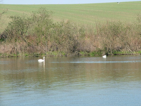 Litobratice - rybnky - duben 2007