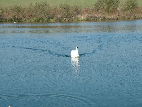 Litobratice - rybnky - duben 2007