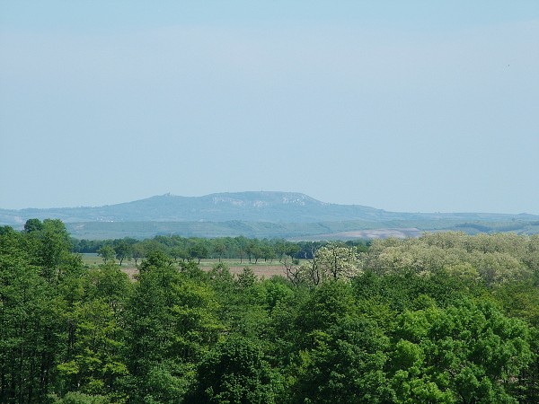 Litobratice z ve kostela - 19.5.2007