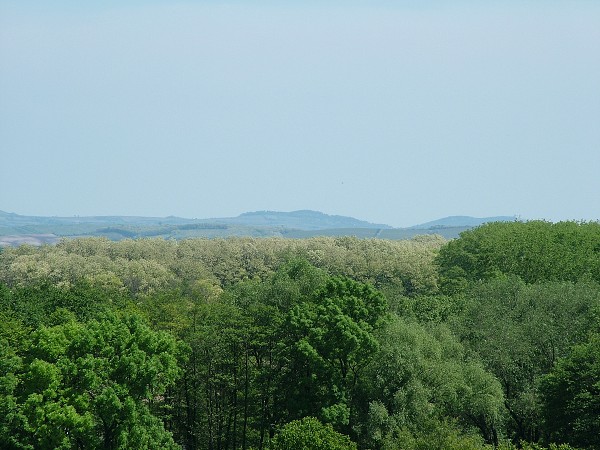 Litobratice z ve kostela - 19.5.2007