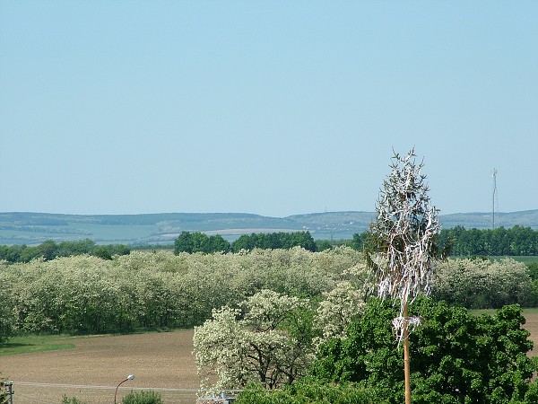 Litobratice z ve kostela - 19.5.2007