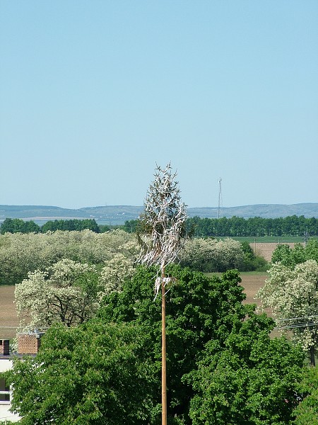 Litobratice z ve kostela - 19.5.2007