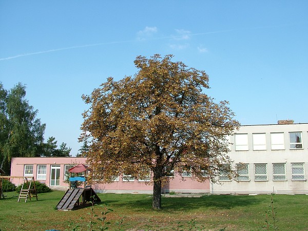 Podzim - září-říjen 2008