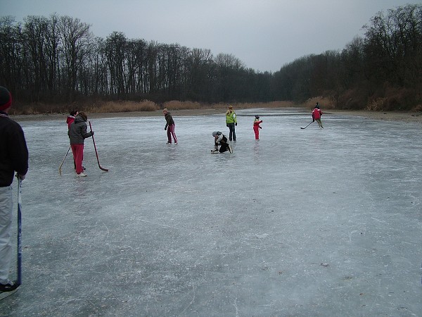 Hokejový zápas - 1.1.2009