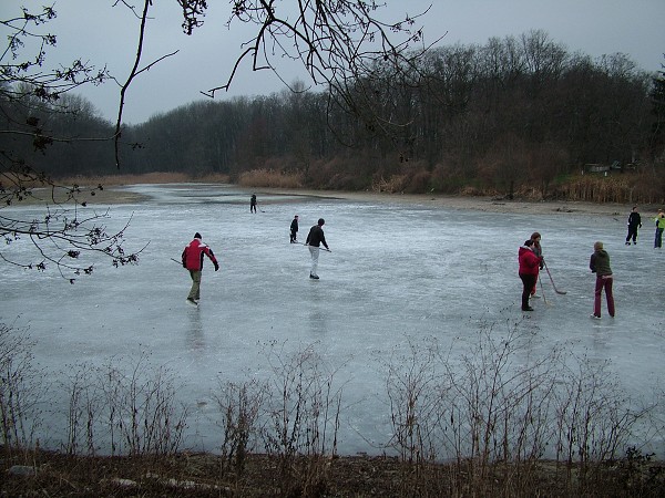 Hokejový zápas - 1.1.2009