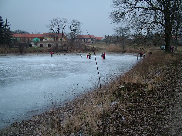 Hokejový zápas - 1.1.2009