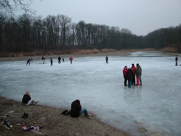 Hokejový zápas - 1.1.2009