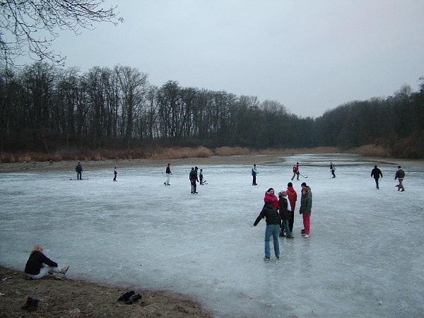 Hokejový zápas - 1.1.2009