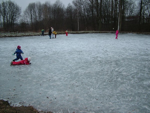 Hokejový zápas - 1.1.2009