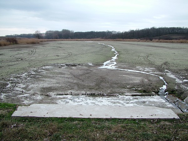 Rybníky v zimě - 4.1.2009