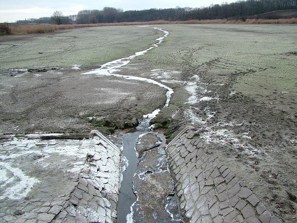 Rybníky v zimě - 4.1.2009