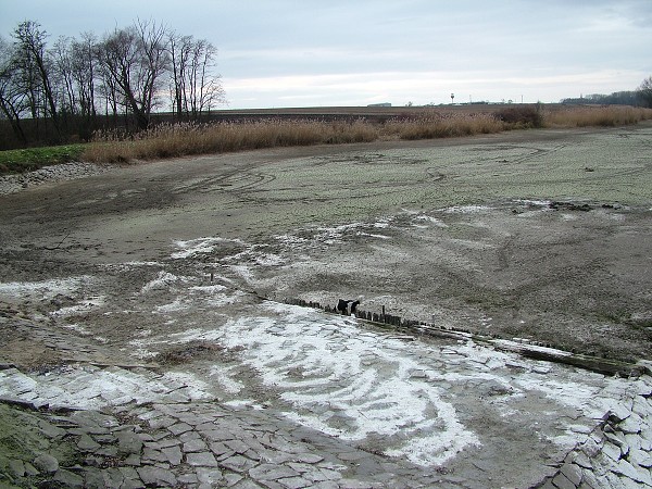 Rybníky v zimě - 4.1.2009