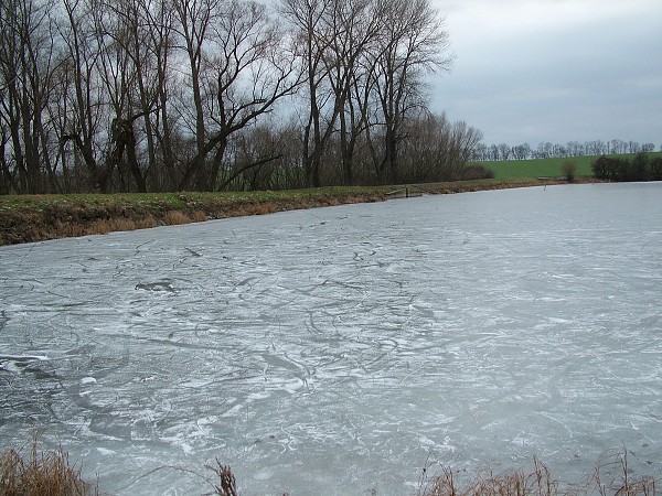 Rybníky v zimě - 4.1.2009