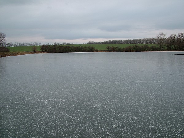 Rybníky v zimě - 4.1.2009