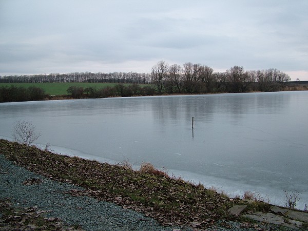 Rybníky v zimě - 4.1.2009