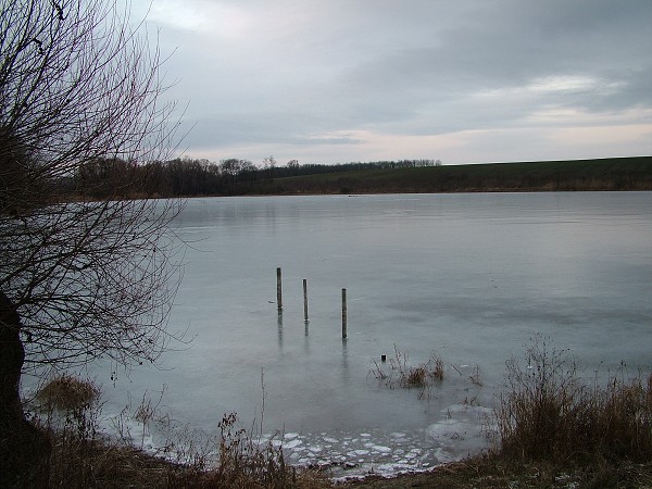 Rybníky v zimě - 4.1.2009