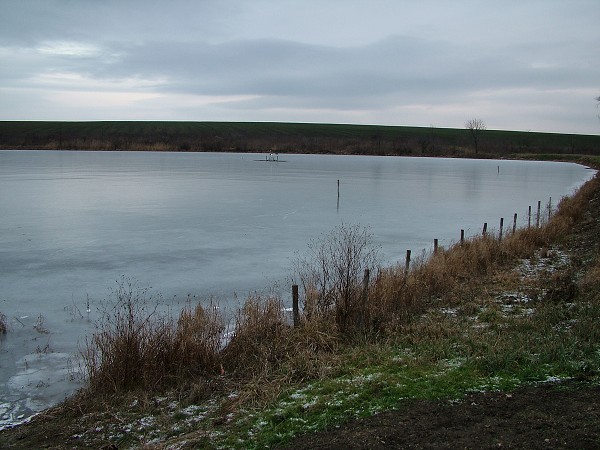 Rybníky v zimě - 4.1.2009