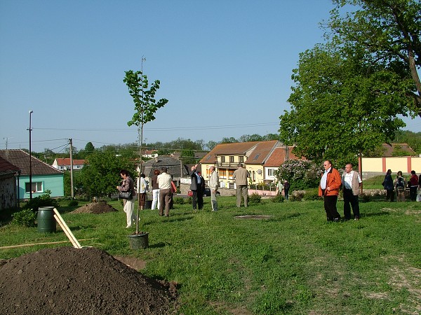 Sázení stromů - 2.5.2009