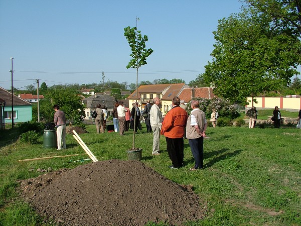 Sázení stromů - 2.5.2009