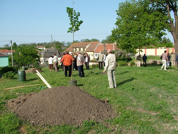 Sázení stromů - 2.5.2009