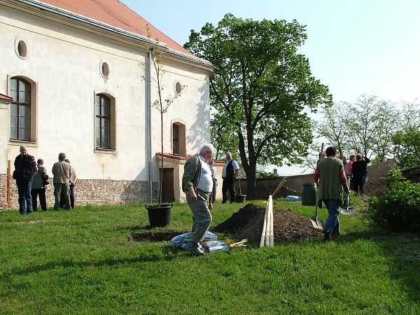 Sázení stromů - 2.5.2009