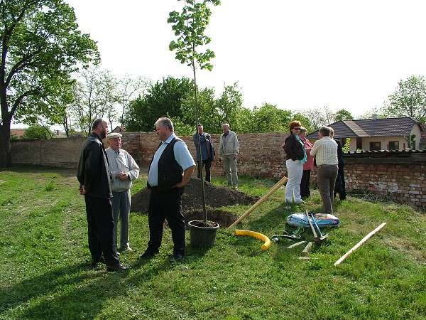 Sázení stromů - 2.5.2009