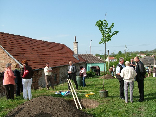 Sázení stromů - 2.5.2009