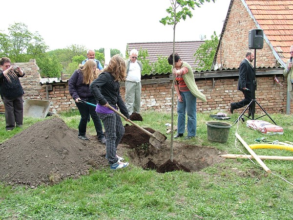 Sázení stromů - 2.5.2009