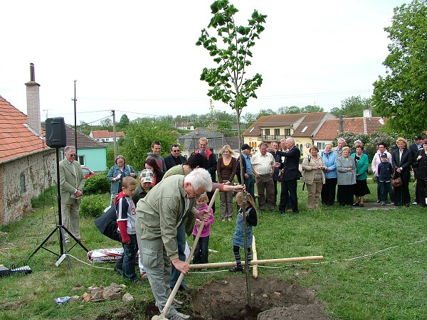 Sázení stromů - 2.5.2009