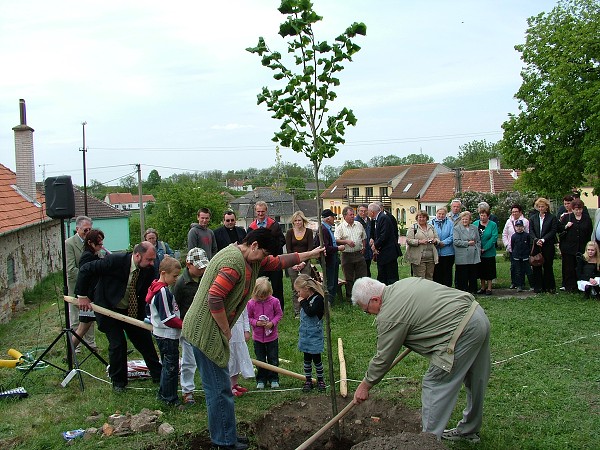 Sázení stromů - 2.5.2009