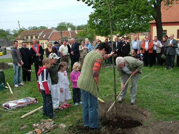 Sázení stromů - 2.5.2009