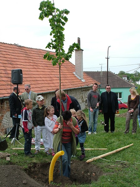 Sázení stromů - 2.5.2009