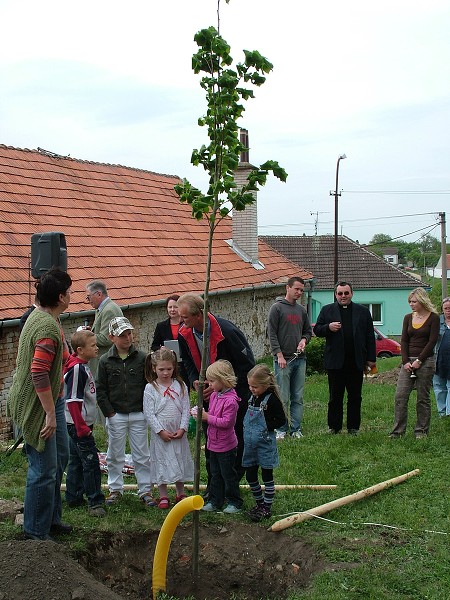 Sázení stromů - 2.5.2009