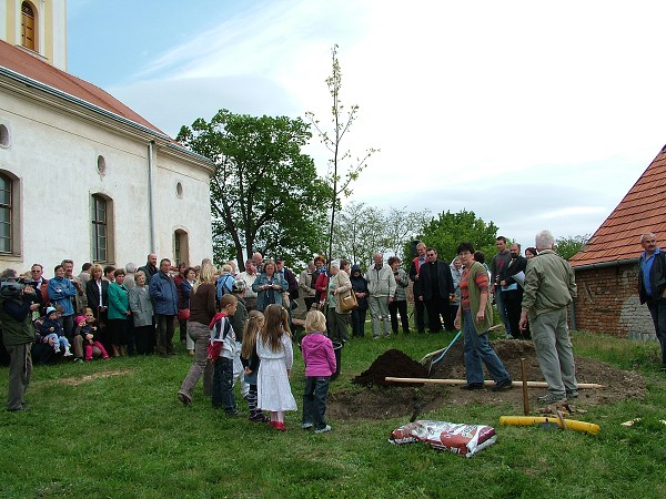 Sázení stromů - 2.5.2009