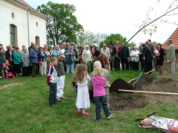 Sázení stromů - 2.5.2009