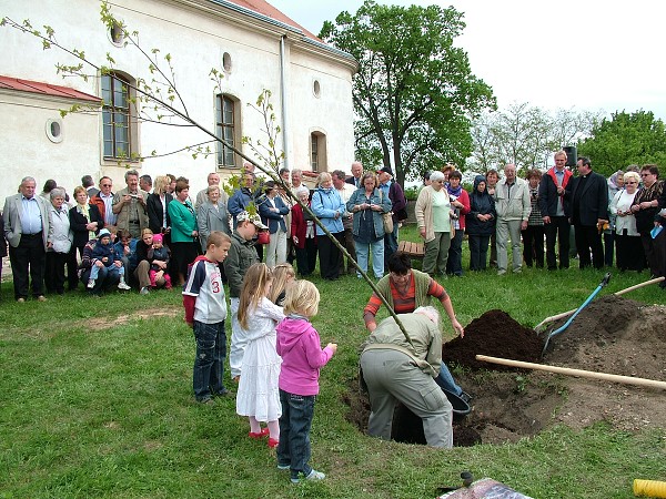 Sázení stromů - 2.5.2009