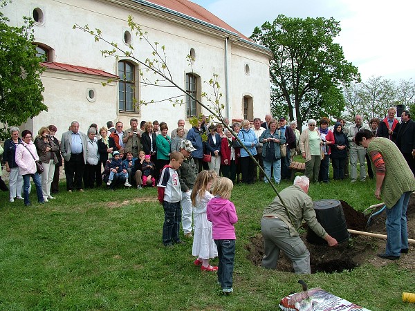 Sázení stromů - 2.5.2009