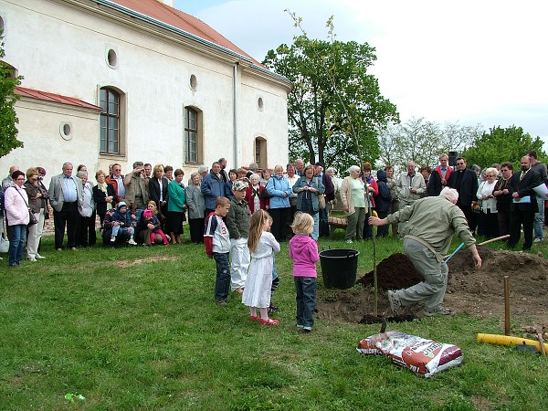 Sázení stromů - 2.5.2009