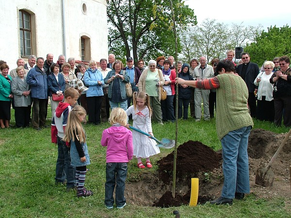 Sázení stromů - 2.5.2009