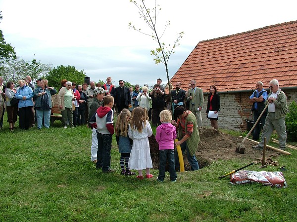 Sázení stromů - 2.5.2009