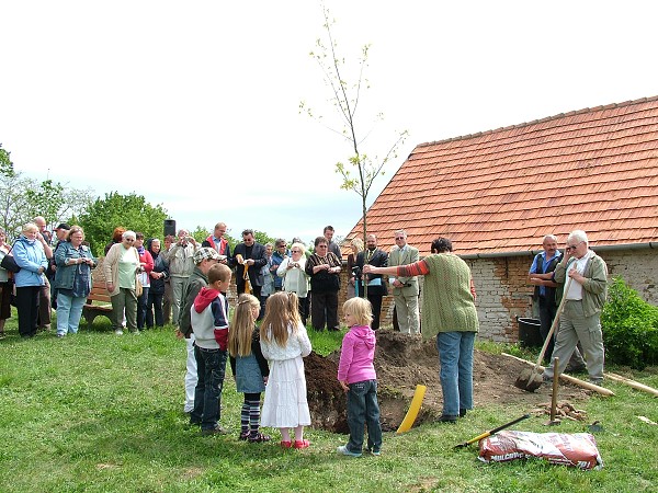 Sázení stromů - 2.5.2009