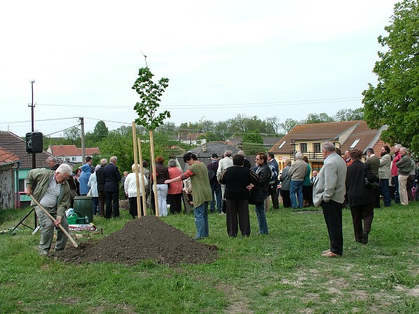 Sázení stromů - 2.5.2009