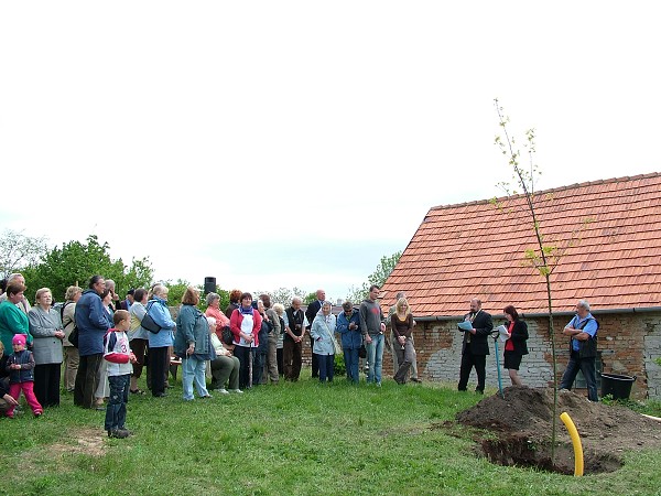 Sázení stromů - 2.5.2009