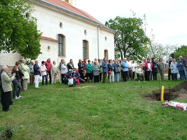 Sázení stromů - 2.5.2009