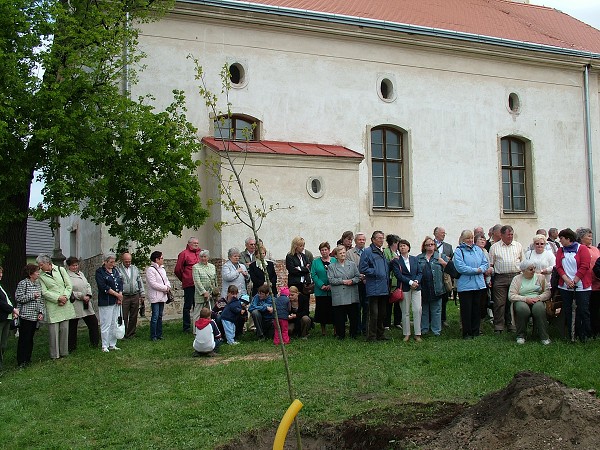 Sázení stromů - 2.5.2009